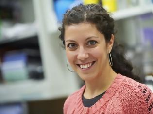 Φωτογραφία για Μαρία Θέμελη: η ερευνήτρια που βραβεύτηκε για την παραγωγή κυττάρων CAR-T που νικούν τον καρκίνο