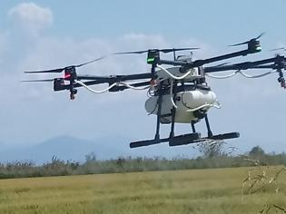 Φωτογραφία για Τεχνητή νοημοσύνη, big data και drones στην υπηρεσία της καταπολέμησης των κουνουπιών