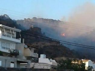 Φωτογραφία για Υπό έλεγχο η μεγάλη πυρκαγιά στην Ιεράπετρα...