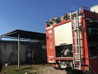 Φωτογραφία για Καταστροφική πυρκαγιά σήμερα το μεσημέρι στο Κτήμα Παλούκη στο Δρυμό Βόνιτσας (ΦΩΤΟ)
