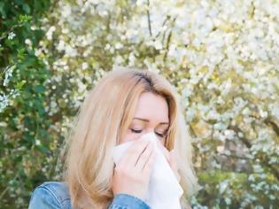 Φωτογραφία για Τροφές που μετριάζουν τα συμπτώματα των εποχικών αλλεργιών
