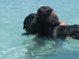 Φωτογραφία για Πέθανε η Λάρα, ο πρώτος σκύλος - οδηγός τυφλών στη Ελλάδα