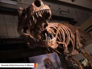 Φωτογραφία για Ανακαλύφθηκε ο μεγαλύτερος τυραννόσαυρος της ιστορίας