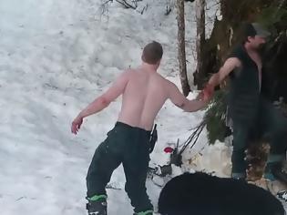 Φωτογραφία για Πατέρας και γιός σκότωσαν αρκούδα και αρκουδάκια σε χειμερία νάρκη και το πανηγύρισαν