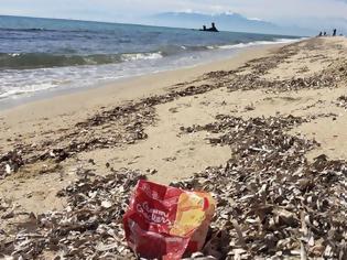 Φωτογραφία για Η μάχη με τα σκουπίδια στις ελληνικές ακτές