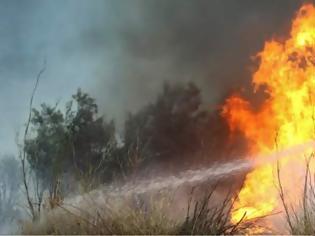 Φωτογραφία για Σκιάθος: Φωτιά σε ορεινή περιοχή κοντά στον Τρούλο
