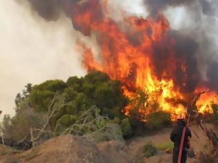 Φωτογραφία για Καίγεται σπάνιο οικοσύστημα - Μεγάλη φωτιά ξέσπασε στην Ηλεία, στο Δάσος της Στροφυλιάς