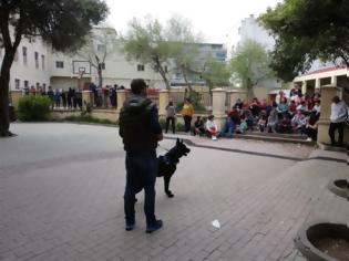 Φωτογραφία για Ο αστυνομικός σκύλος «Schwartz» επισκέφτηκε τους μαθητές του Πρότυπου Ειδικού Πειραματικού Δημοτικού Σχολείου Ρόδου