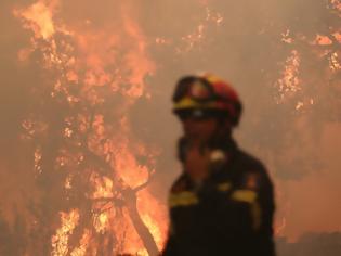 Φωτογραφία για Εθελοντές πυροσβέστες εκβίαζαν για «χρυσά» συμβόλαια με δήμους βάζοντας φωτιές!