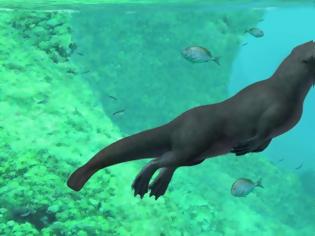 Φωτογραφία για Τετράποδη φάλαινα περπατούσε στην ξηρά και κολυμπούσε στη θάλασσα πριν από 43 εκατ. χρόνια