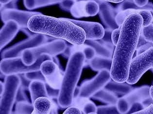 Φωτογραφία για Μυστηριώδες μικρόβιο εξαπλώνεται αθόρυβα σε όλο τον κόσμο