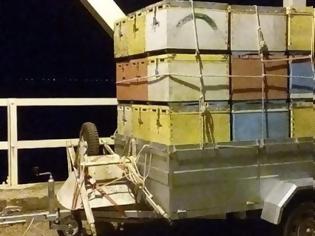 Φωτογραφία για Μάστρο Οινιάδων: Έκλεψαν 32 μελίσσια από Ευρυτάνα μελισσοκόμο (φωτο)