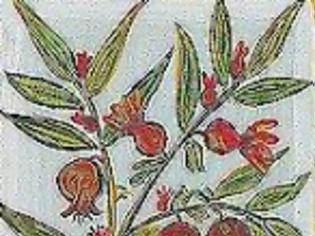 Φωτογραφία για 11900 - Έτσι είναι τα λουλούδια το Πάσχα στο Άγιον Όρος. Έκθεση ζωγραφικής στις Καρυές του Αγίου Όρους