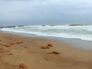 Φωτογραφία για 42χρονη εντοπίστηκε νεκρή στην παραλία της Μπούκας