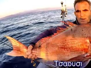 Φωτογραφία για Νέο βίντεο - Δολωματα και ψαρια