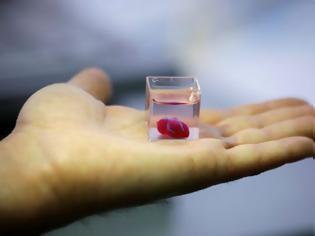 Φωτογραφία για Επιστήμονες «τύπωσαν» την πρώτη 3D καρδιά από ανθρώπινο ιστό