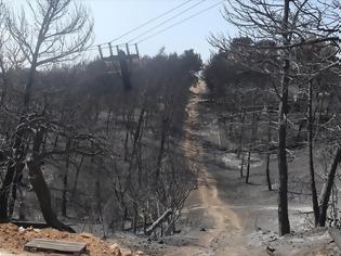 Φωτογραφία για FAZ: Ο κίνδυνος νέων πυρκαγιών «απειλή» για τον ΣΥΡΙΖΑ