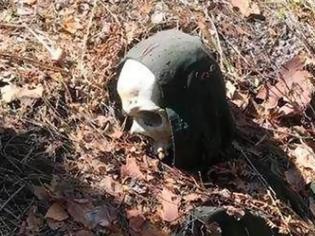 Φωτογραφία για Σκελετός «επίδοξου Χουντίνι» βρέθηκε δεμένος σε δέντρο με χειροπέδες μπροστά σε κάμερα!