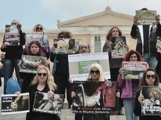 Φωτογραφία για Να σταματήσει το σούβλισμα του αρνιού !!! Συγκέντρωση vegan στην πλατεία Συντάγματος