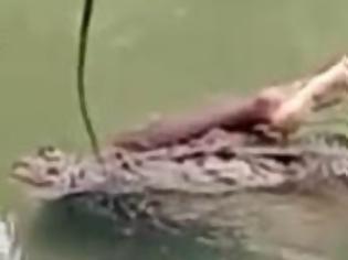 Φωτογραφία για Βίντεο-σοκ: Κροκόδειλος περιπλανιέται σε λίμνη έχοντας στα σαγόνια του ένα ανθρώπινο πόδι