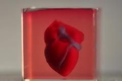 Ερευνητές κατασκεύασαν την πρώτη 3D printed καρδιά από κύτταρα