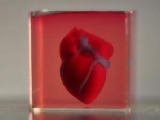 Φωτογραφία για Ερευνητές κατασκεύασαν την πρώτη 3D printed καρδιά από κύτταρα