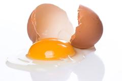 Τι πρέπει να ξέρουμε για τα αυγά; Πώς ξεχωρίζουμε το φρέσκο αυγό;