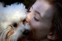Η απώλεια ενός σκύλου πληγώνει όσο η απώλεια ενός αγαπημένου ανθρώπου σύμφωνα με έρευνα