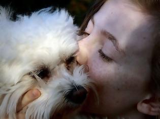 Φωτογραφία για Η απώλεια ενός σκύλου πληγώνει όσο η απώλεια ενός αγαπημένου ανθρώπου σύμφωνα με έρευνα