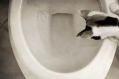 Επτά λάθη που κάνουμε στο μπάνιο μας