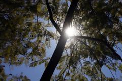 Ο καιρός σήμερα...