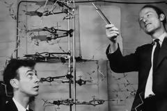 DNA: 66 χρόνια από τη μεγαλύτερη επιστημονική ανακάλυψη του 20ού αι.