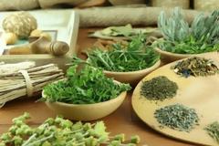 Αυτά τα βότανα σώζουν ζωές!