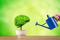 Θέλετε να ξανανιώσει ο εγκέφαλός σας για ένα χρόνο; Δείτε τι πρέπει να κάνετε…