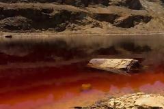 Κύπρος : Φέρνουν βρετανούς εμπειρογνώμονες για τις πολυάριθμες δολοφονίες