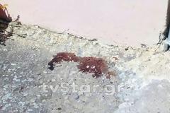 Συγκρατημένα αισιόδοξοι οι γιατροί...