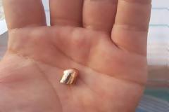 Η βαλλιστική εξέταση 