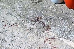 Από 38αρι περίστροφο...