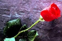 Καλό ταξίδι Κώστα ....