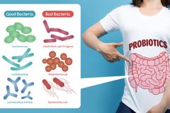 Δίαιτα: Τι είναι τα προβιοτικά και πώς συμβάλλουν στο αδυνάτισμα