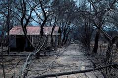 ΠΑΡΑΜΕΝΟΥΝ ΕΚΤΕΘΕΙΜΕΝΟΙ ΟΙ ΚΑΤΟΙΚΟΙ ΣΤΟ ΜΑΤΙ ΣΤΗΝ ΜΟΛΥΝΣΗ ΑΠΟ ΤΟΝ ΑΜΙΑΝΤΟ