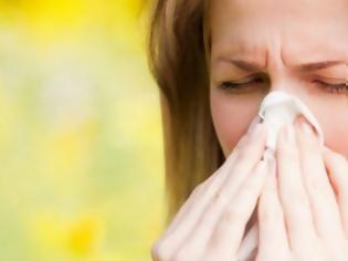Φωτογραφία για Καλή Άνοιξη: Πώς προλαβαίνουμε τις αλλεργίες που… έρχονται