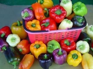 Φωτογραφία για Χρωματιστές πιπεριές: Τα εξαιρετικά θρεπτικά συστατικά τους