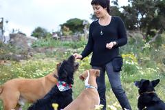 Γιατί δεν πρέπει να μαλώνουμε τον σκύλο μας