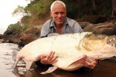 Τρόμος: Το τιγρόψαρο Γολιάθ έχει το μήκος ανθρώπου