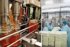 ΕΦΕΤ: «Τρώμε Κατσαρίδες, Πριονίδι Ξύλου, Υγρό από Πρωκτικό Αδένα..»!