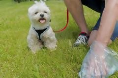 Πρόστιμο σε όσους δεν μαζεύουν τις ακαθαρσίες του σκύλου τους από δρόμους και πάρκα