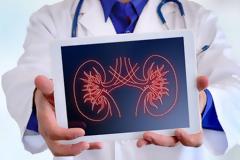 Σωστή ενυδάτωση για γερά νεφρά! Τι πρέπει να προσέχετε;