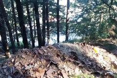 ΡΎΠΑΝΣΗ ΑΠΌ ΑΣΥΝΕΊΔΗΤΟ ΣΤΗΝ ΕΛΕΟΎΣΑ