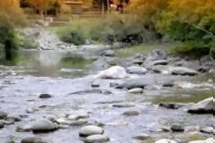 «Απαγόρευση αλιείας στα εσωτερικά νερά της Περιφερειακής Ενότητας Γρεβενών, λόγω αναπαραγωγής των ψαριών»